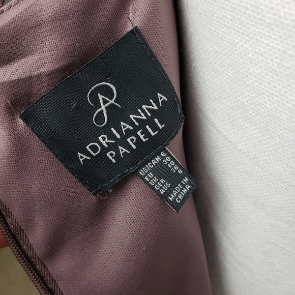 Adrianna Papell Bodice Lace Sheath Dress - Picture 9 of 13